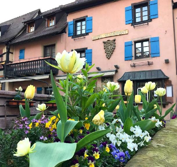 Le restaurant - Auberge Du Rempart - restaurant EGUISHEIM - Restaurant Eguisheim avec terrasse